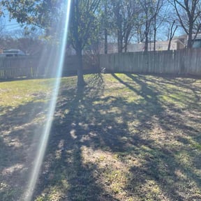 Leaf Removal by Harrison Thomas LLC reviewed on August 21, 2025