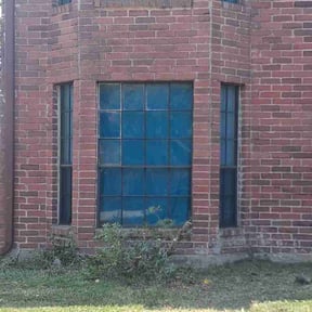 Bush Trimming by USA Lawncare Inc reviewed on September 2, 2026