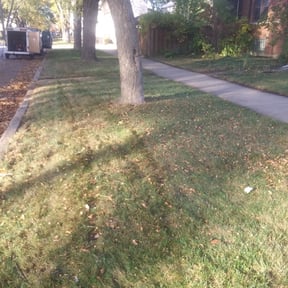 Leaf Removal by Hugheslandscaping reviewed on September 10, 2025
