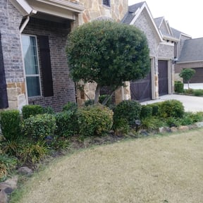 Bush Trimming by Jackman's Lawn Care reviewed on August 18, 2025