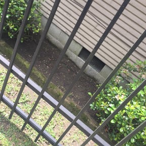 Flower Bed Weeding by Lawn Care reviewed on August 20, 2025