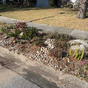 Leaf Removal by Esparza Lawn N More... reviewed on March 19, 2026