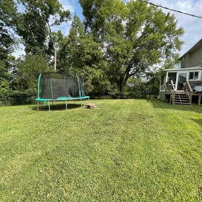 lawn service by Just cut it LLC reviewed on June 10, 2025