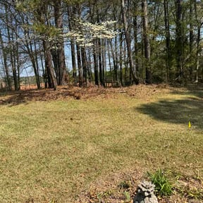 Leaf Removal by Lion's Heart Lawn Care reviewed on June 5, 2026