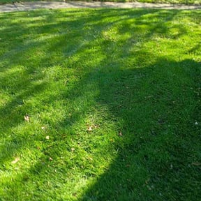 Leaf Removal by K Sisters Lawncare reviewed on September 1, 2026
