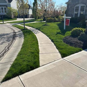 landscaping services by Structure Lawn Care reviewed on August 16, 2025