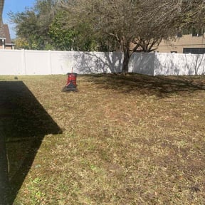 Leaf Removal by Texas Best Lawn and Farm reviewed on September 10, 2025