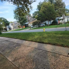 Leaf Removal by The Best Grass reviewed on September 12, 2025