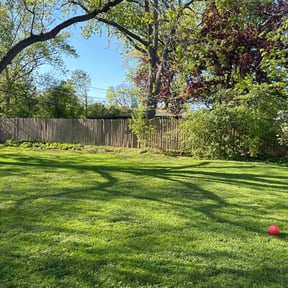 turf maintenance by Mcqueens lawn care reviewed on August 15, 2025
