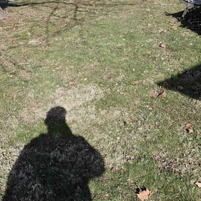 Leaf Removal by Nate's Scapes reviewed on August 18, 2025