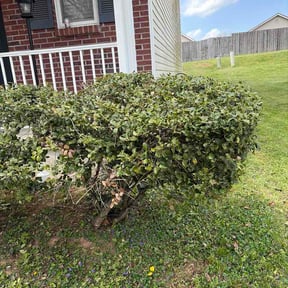 Bush Trimming by A Better Lawncare reviewed on April 7, 2026