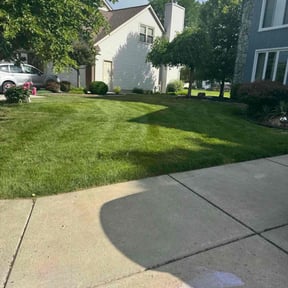 yard maintenance by Trevor Hall reviewed on August 16, 2025