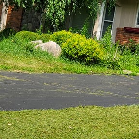 Bush Trimming by A.V Masonry & Construction reviewed on August 21, 2025