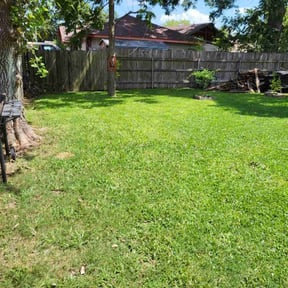 yard maintenance by Bestway Lawn Care reviewed on August 17, 2025