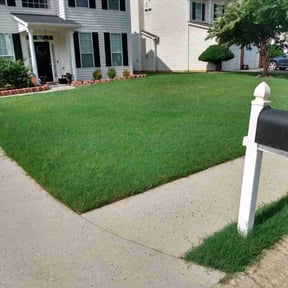 landscape maintenance by Wash&#039;s landscaping reviewed on November 20, 2025