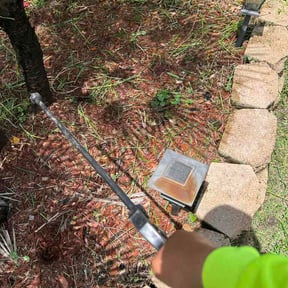 Flower Bed Weeding by M@M Lawn Services reviewed on September 2, 2026