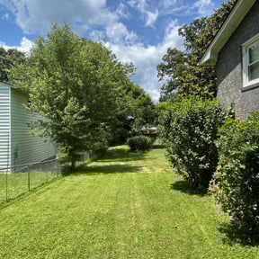 grass maintenance by M&J LawnService LLC reviewed on December 23, 2024