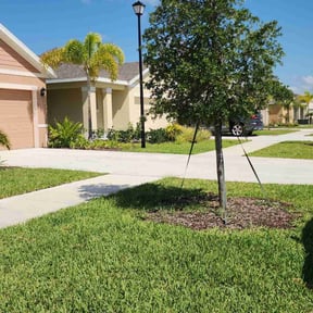 yard service by Alexis perez reviewed on August 20, 2025
