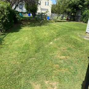 grass cutting by MEDINA&#039;S LANDSCAPPING reviewed on April 17, 2024