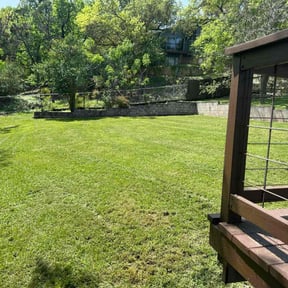 turf care by Lawn Samurai reviewed on April 29, 2024