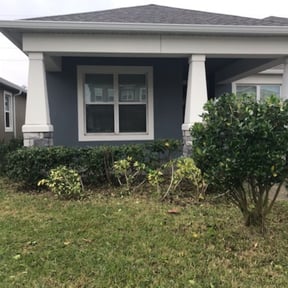 Bush Trimming by Dave's Lawn Care reviewed on August 15, 2025