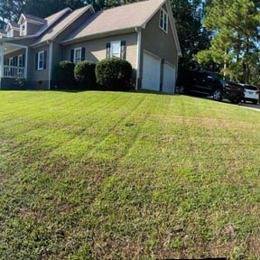 Bush Trimming by Sextons lawn Care Services reviewed on November 6, 2025