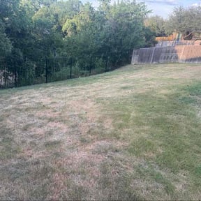 lawn care services by Mikes Landscaping reviewed on April 17, 2024