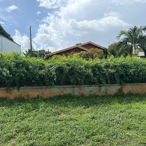 Bush Trimming by Roman Landscaping reviewed on November 10, 2025