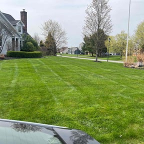 yard service by Lightyear Lawn Care reviewed on August 19, 2025