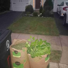 Bush Trimming by George Co reviewed on May 30, 2025