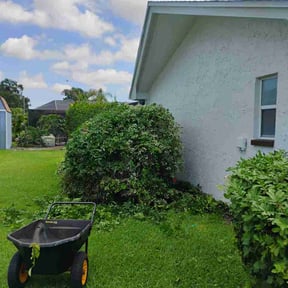 Bush Trimming by Lawn Justice Landscape reviewed on May 18, 2026