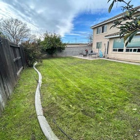 grass maintenance by Tellez landscaping reviewed on September 15, 2024