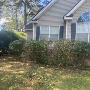 Bush Trimming by Perez Landscaping inc reviewed on March 31, 2026