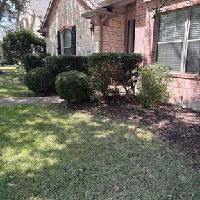 Bush Trimming by Kimball’s Lawns reviewed on August 14, 2026