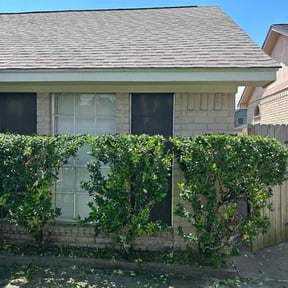 Bush Trimming by Green light landscaping reviewed on August 15, 2025