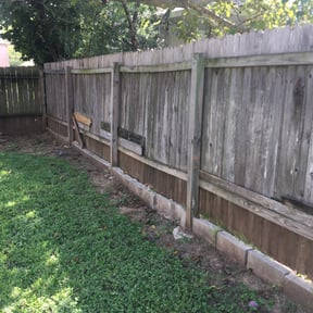 Bush Trimming by Westveld Mowing reviewed on August 20, 2025
