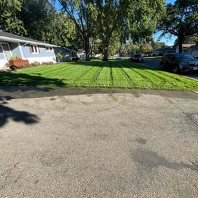 yard maintenance by Metro Wide Snow Removal and Lawn reviewed on November 23, 2025