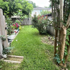 gardening service by Green Hands Landscaping reviewed on August 19, 2025