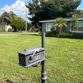 landscaping by MVD Lawncare LLC reviewed on August 16, 2025