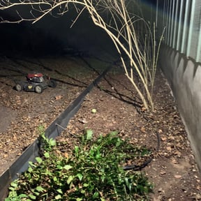 Leaf Removal by Grateful Green Lawn Care reviewed on September 15, 2025