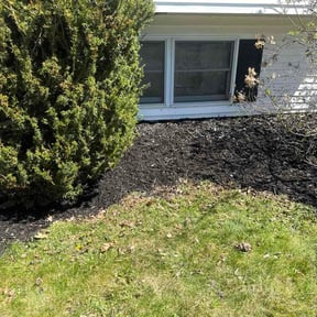 Mulching by In Between The Lines LLC reviewed on May 5, 2026