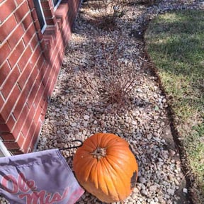 lawn maintenance by K.M.W. Lawn Services &amp; Logistics LLC reviewed on March 3, 2024