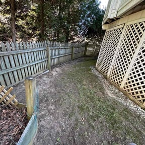 Leaf Removal by Cleanspot reviewed on January 19, 2026