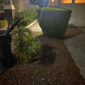 Bush Trimming by iFixPhx Handyman and Property Care reviewed on December 28, 2025