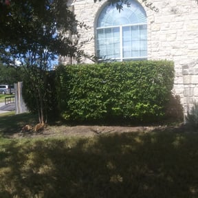 Bush Trimming by Ryan's lawns reviewed on August 20, 2025