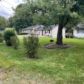 yard care by Scube and Sons reviewed on August 20, 2025