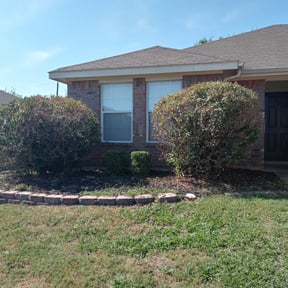 Bush Trimming by Adams Paiz reviewed on November 28, 2021