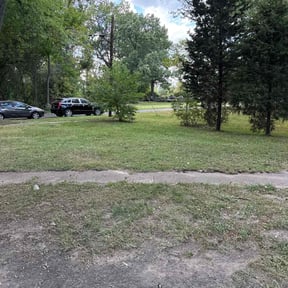 Leaf Removal by BBMP reviewed on November 7, 2025