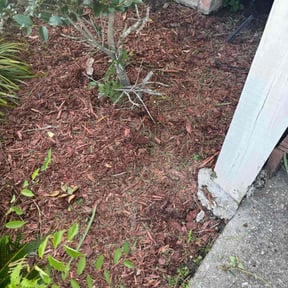 Flower Bed Weeding by Yard Goat Lawns llc reviewed on October 21, 2025