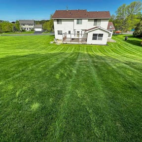 gardening service by Aunders Land Services reviewed on August 19, 2025